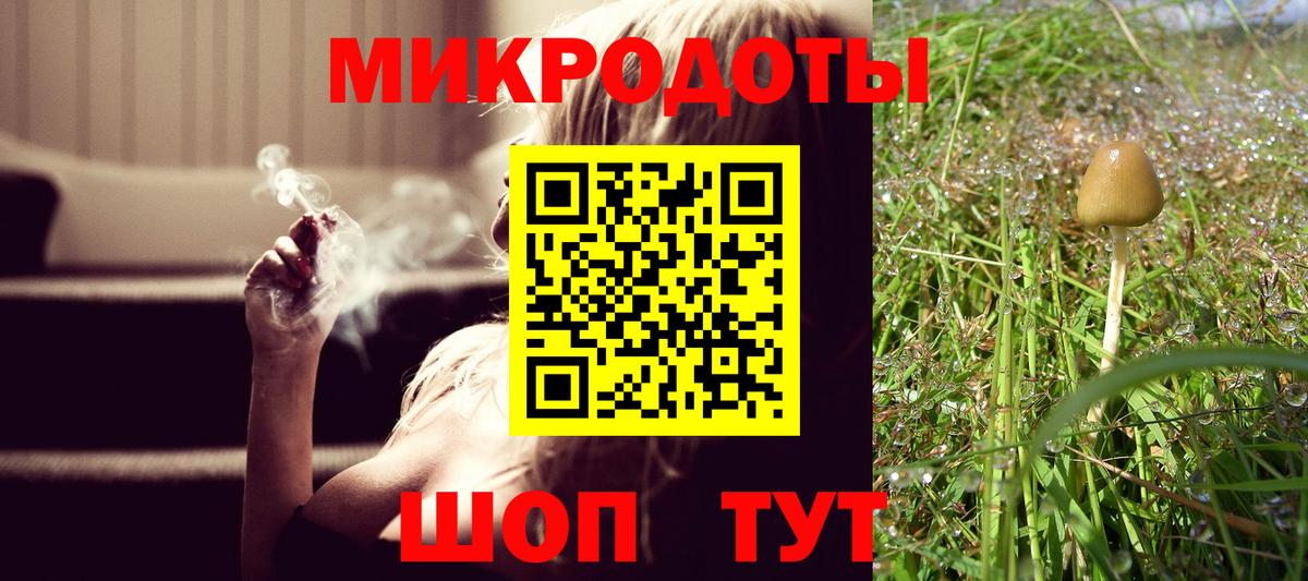 Губкин  Галлюциногенные грибы прущие грибы  Вход с VPN 