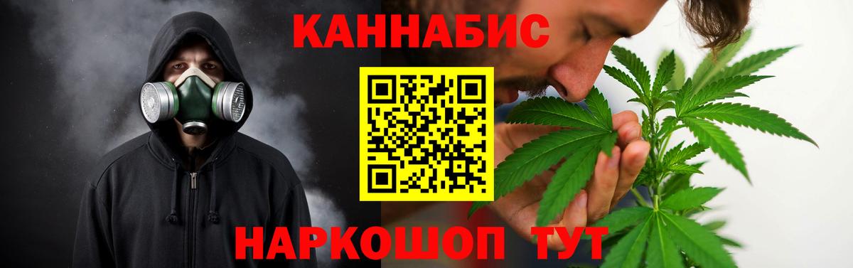 Бошки марихуана конопля  Конопля индика  МАРИХУАНА конопля  Губкин  Вход с VPN 